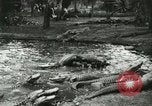 Standbild Alligator Farm Washington DC USA, 1916, aus Sekunde 12 historischem Filmmaterial Videoclip 65675021536