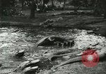 Standbild Alligator Farm Washington DC USA, 1916, aus Sekunde 13 historischem Filmmaterial Videoclip 65675021536