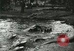 Standbild Alligator Farm Washington DC USA, 1916, aus Sekunde 14 historischem Filmmaterial Videoclip 65675021536