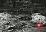Standbild Alligator Farm Washington DC USA, 1916, aus Sekunde 15 historischem Filmmaterial Videoclip 65675021536