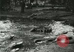 Standbild Alligator Farm Washington DC USA, 1916, aus Sekunde 16 historischem Filmmaterial Videoclip 65675021536