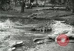 Standbild Alligator Farm Washington DC USA, 1916, aus Sekunde 18 historischem Filmmaterial Videoclip 65675021536