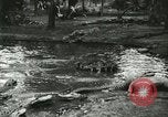Standbild Alligator Farm Washington DC USA, 1916, aus Sekunde 20 historischem Filmmaterial Videoclip 65675021536