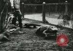 Standbild Alligator Farm Washington DC USA, 1916, aus Sekunde 21 historischem Filmmaterial Videoclip 65675021536