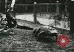 Standbild Alligator Farm Washington DC USA, 1916, aus Sekunde 23 historischem Filmmaterial Videoclip 65675021536