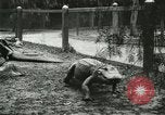 Standbild Alligator Farm Washington DC USA, 1916, aus Sekunde 24 historischem Filmmaterial Videoclip 65675021536