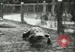 Standbild Alligator Farm Washington DC USA, 1916, aus Sekunde 25 historischem Filmmaterial Videoclip 65675021536