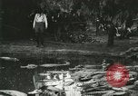 Standbild Alligator Farm Washington DC USA, 1916, aus Sekunde 26 historischem Filmmaterial Videoclip 65675021536