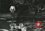Standbild Alligator Farm Washington DC USA, 1916, aus Sekunde 27 historischem Filmmaterial Videoclip 65675021536