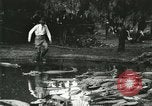 Standbild Alligator Farm Washington DC USA, 1916, aus Sekunde 28 historischem Filmmaterial Videoclip 65675021536