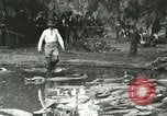 Standbild Alligator Farm Washington DC USA, 1916, aus Sekunde 30 historischem Filmmaterial Videoclip 65675021536