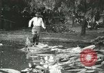 Standbild Alligator Farm Washington DC USA, 1916, aus Sekunde 31 historischem Filmmaterial Videoclip 65675021536