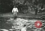 Standbild Alligator Farm Washington DC USA, 1916, aus Sekunde 32 historischem Filmmaterial Videoclip 65675021536