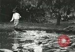 Standbild Alligator Farm Washington DC USA, 1916, aus Sekunde 33 historischem Filmmaterial Videoclip 65675021536