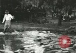 Standbild Alligator Farm Washington DC USA, 1916, aus Sekunde 34 historischem Filmmaterial Videoclip 65675021536