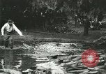 Standbild Alligator Farm Washington DC USA, 1916, aus Sekunde 35 historischem Filmmaterial Videoclip 65675021536