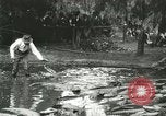 Standbild Alligator Farm Washington DC USA, 1916, aus Sekunde 37 historischem Filmmaterial Videoclip 65675021536