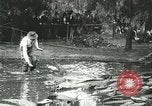 Standbild Alligator Farm Washington DC USA, 1916, aus Sekunde 39 historischem Filmmaterial Videoclip 65675021536