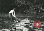 Standbild Alligator Farm Washington DC USA, 1916, aus Sekunde 41 historischem Filmmaterial Videoclip 65675021536
