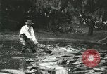 Standbild Alligator Farm Washington DC USA, 1916, aus Sekunde 42 historischem Filmmaterial Videoclip 65675021536