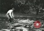 Standbild Alligator Farm Washington DC USA, 1916, aus Sekunde 43 historischem Filmmaterial Videoclip 65675021536