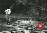 Standbild Alligator Farm Washington DC USA, 1916, aus Sekunde 44 historischem Filmmaterial Videoclip 65675021536