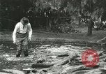 Standbild Alligator Farm Washington DC USA, 1916, aus Sekunde 45 historischem Filmmaterial Videoclip 65675021536