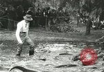 Standbild Alligator Farm Washington DC USA, 1916, aus Sekunde 46 historischem Filmmaterial Videoclip 65675021536