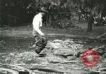 Standbild Alligator Farm Washington DC USA, 1916, aus Sekunde 47 historischem Filmmaterial Videoclip 65675021536