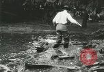 Standbild Alligator Farm Washington DC USA, 1916, aus Sekunde 49 historischem Filmmaterial Videoclip 65675021536