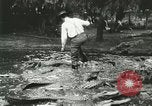 Standbild Alligator Farm Washington DC USA, 1916, aus Sekunde 51 historischem Filmmaterial Videoclip 65675021536