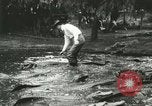 Standbild Alligator Farm Washington DC USA, 1916, aus Sekunde 52 historischem Filmmaterial Videoclip 65675021536