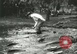 Standbild Alligator Farm Washington DC USA, 1916, aus Sekunde 53 historischem Filmmaterial Videoclip 65675021536