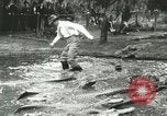 Standbild Alligator Farm Washington DC USA, 1916, aus Sekunde 54 historischem Filmmaterial Videoclip 65675021536