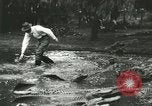 Standbild Alligator Farm Washington DC USA, 1916, aus Sekunde 56 historischem Filmmaterial Videoclip 65675021536