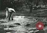 Standbild Alligator Farm Washington DC USA, 1916, aus Sekunde 57 historischem Filmmaterial Videoclip 65675021536
