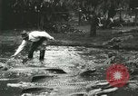 Standbild Alligator Farm Washington DC USA, 1916, aus Sekunde 58 historischem Filmmaterial Videoclip 65675021536