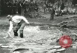 Standbild Alligator Farm Washington DC USA, 1916, aus Sekunde 62 historischem Filmmaterial Videoclip 65675021536