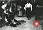 Image Alligator Farm Washington DC USA, 1916, de la seconde 44 séquences d'archives historiques vidéo 65675021537