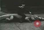 Image Alligator Farm Washington DC USA, 1916, de la seconde 57 séquences d'archives historiques vidéo 65675021537