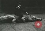 Image Alligator Farm Washington DC USA, 1916, de la seconde 58 séquences d'archives historiques vidéo 65675021537