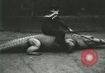 Image Alligator Farm Washington DC USA, 1916, de la seconde 60 séquences d'archives historiques vidéo 65675021537