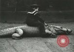 Image Alligator Farm Washington DC USA, 1916, de la seconde 61 séquences d'archives historiques vidéo 65675021537