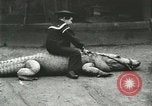 Image Alligator Farm Washington DC USA, 1916, de la seconde 62 séquences d'archives historiques vidéo 65675021537