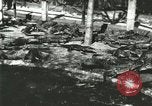 Standbild Alligator Farm Washington DC USA, 1916, aus Sekunde 1 historischem Filmmaterial Videoclip 65675021538