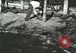 Standbild Alligator Farm Washington DC USA, 1916, aus Sekunde 4 historischem Filmmaterial Videoclip 65675021538
