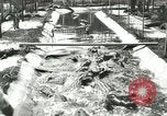 Standbild Alligator Farm Washington DC USA, 1916, aus Sekunde 16 historischem Filmmaterial Videoclip 65675021538
