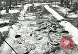 Standbild Alligator Farm Washington DC USA, 1916, aus Sekunde 17 historischem Filmmaterial Videoclip 65675021538