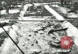 Standbild Alligator Farm Washington DC USA, 1916, aus Sekunde 18 historischem Filmmaterial Videoclip 65675021538