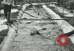 Standbild Alligator Farm Washington DC USA, 1916, aus Sekunde 25 historischem Filmmaterial Videoclip 65675021538